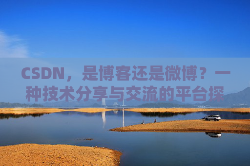 CSDN，是博客还是微博？一种技术分享与交流的平台探讨